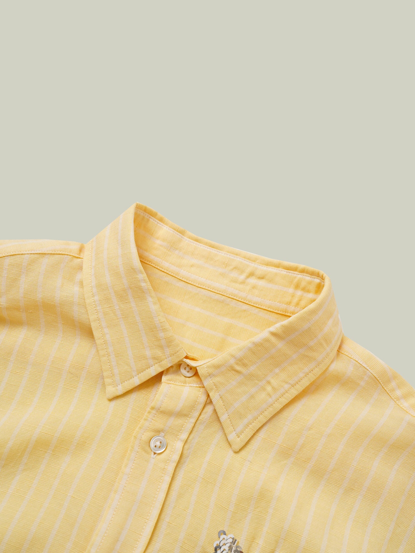 Camicia a righe in lino con paillettes ricamate