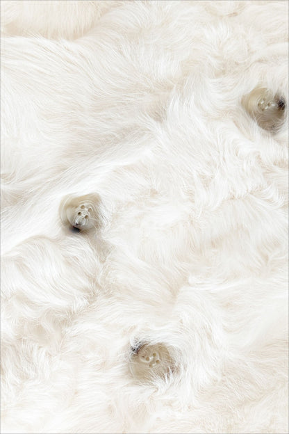 Cappotto in pelo lungo